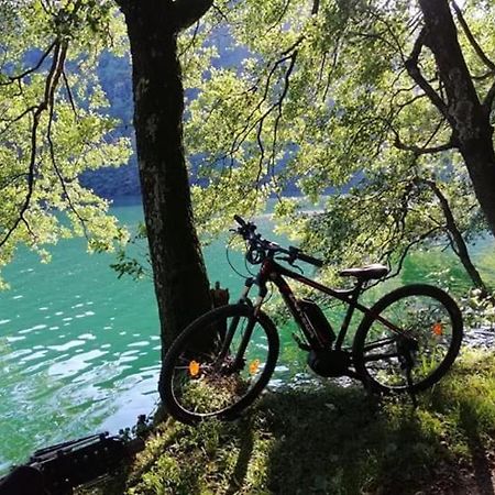 Appartamento Levico Lake Левико Терме Екстериор снимка